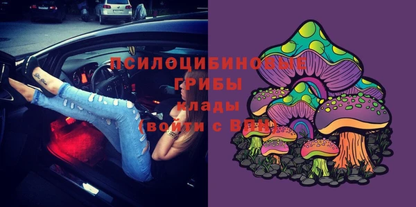 гашик Гусиноозёрск